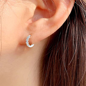 Small Daisy Hooped Earrings - Silver