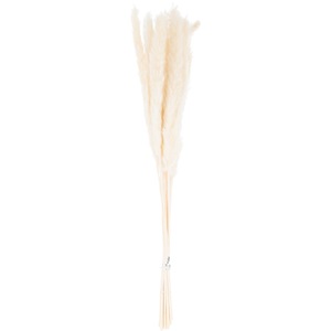 Mini Pampas Grass Bunch Of 15 - Small Faux Botanical - Dawn Pink