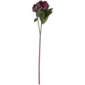 Hill Interiors Faux Burgundy Peony Rose - Burgundy