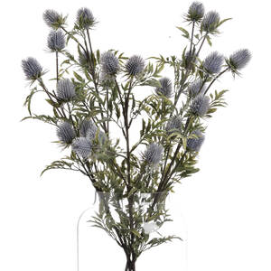 Eryngium Thistle Unique Floral Accent - Purple