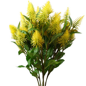 Bunch of Callistemson Pallidus Yellow Bottle Brush Stems Flowers - Yellow Bottle Brush